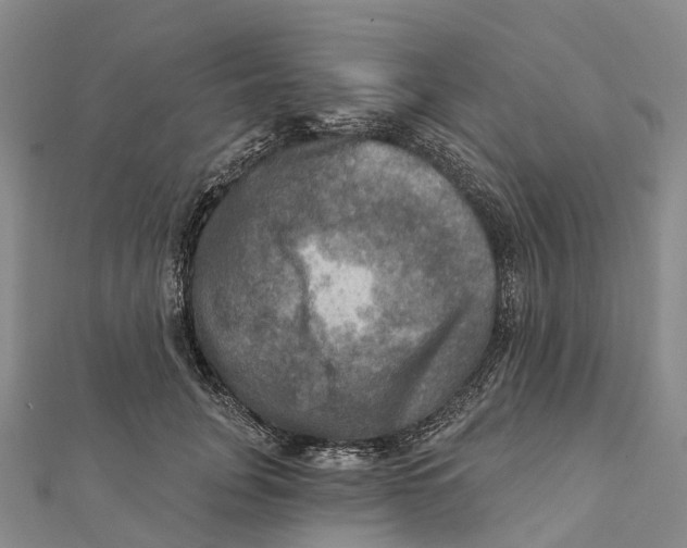 X0000112100751200909011124
