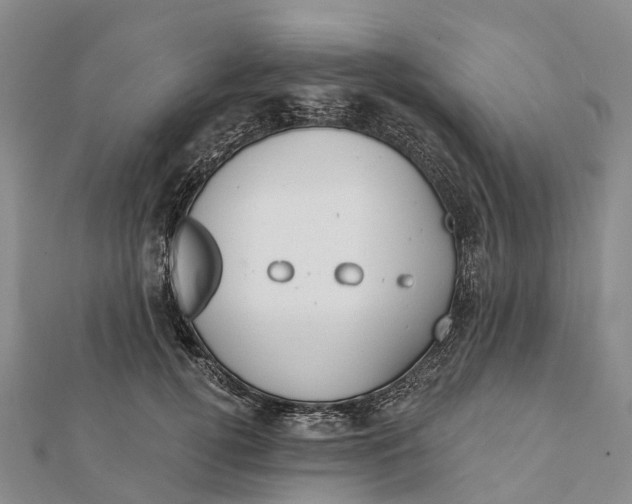 X0000112100752200909011124