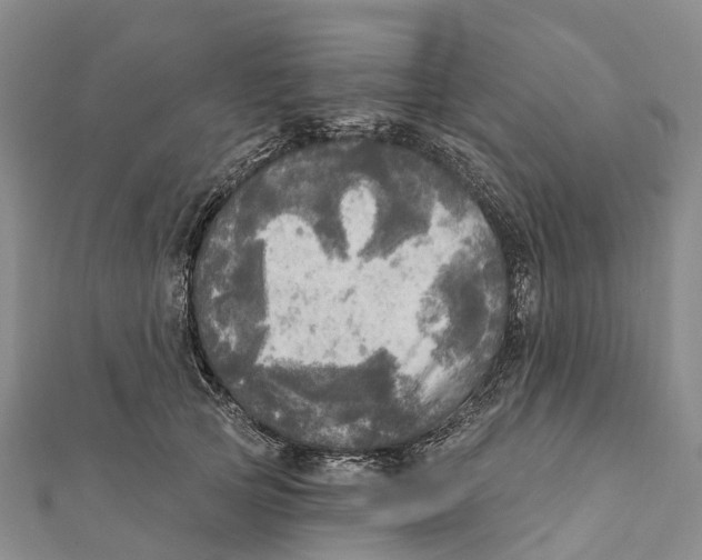 X0000112100753200909011124