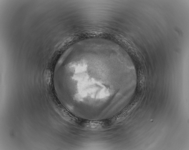 X0000112100758200909011124