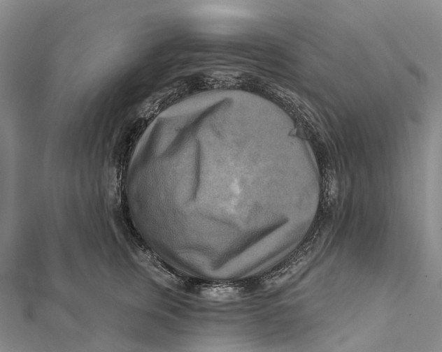X0000112100759200909011124
