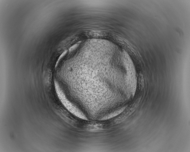 X0000112100760200909011124