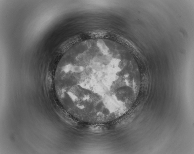 X0000112100761200909011124