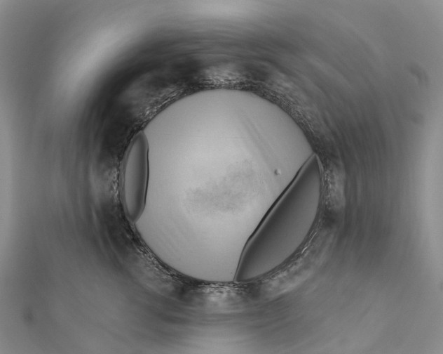 X0000112100762200909011124