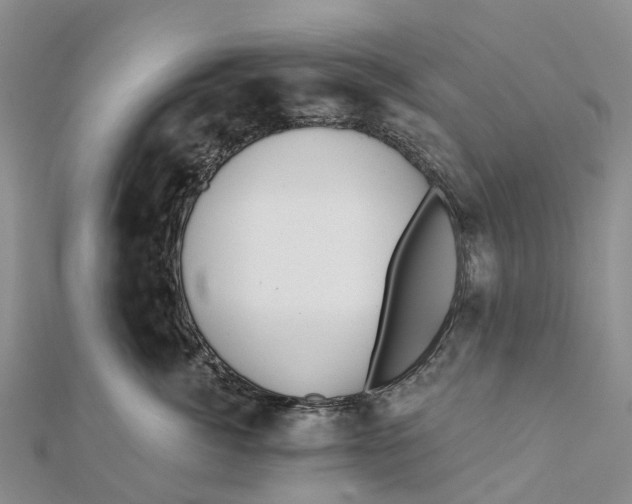X0000112100764200909011124