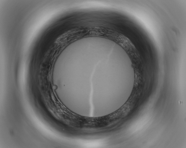 X0000112100765200909011124