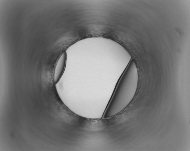 X0000112100768200909011124