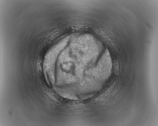 X0000112100770200909011124