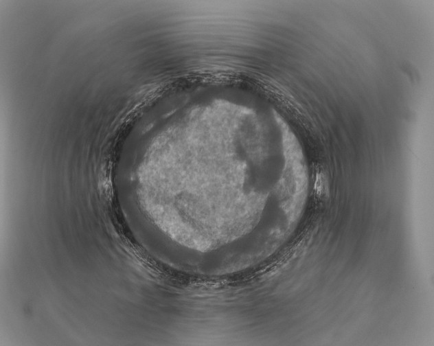 X0000112100771200909011124