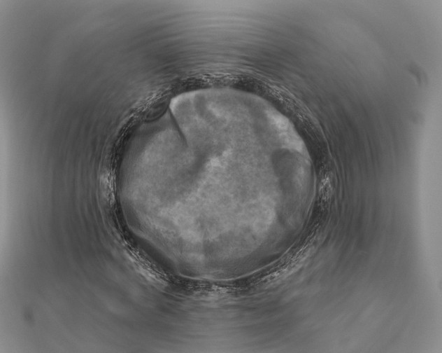 X0000112100772200909011124