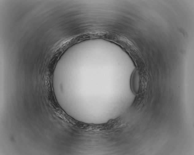 X0000112100773200909011124