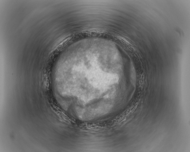 X0000112100774200909011124