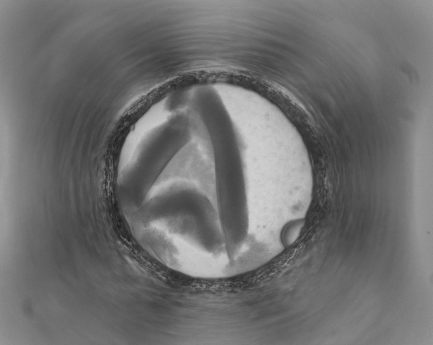 X0000112100775200909011124