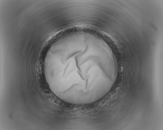 X0000112100776200909011124