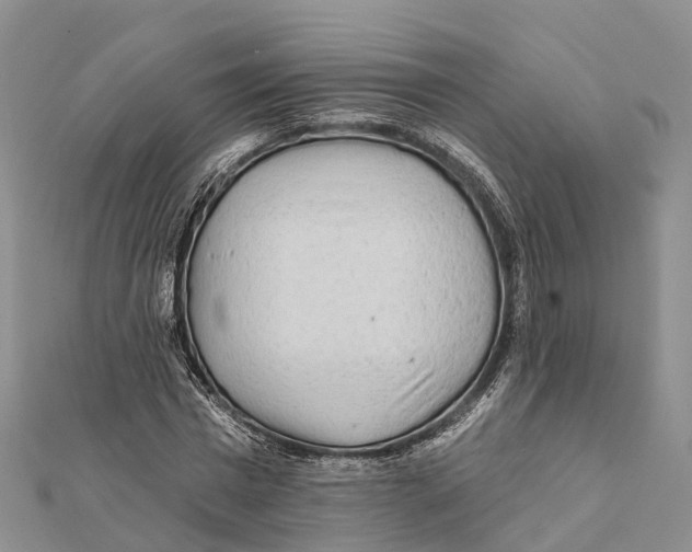 X0000112100777200909011124