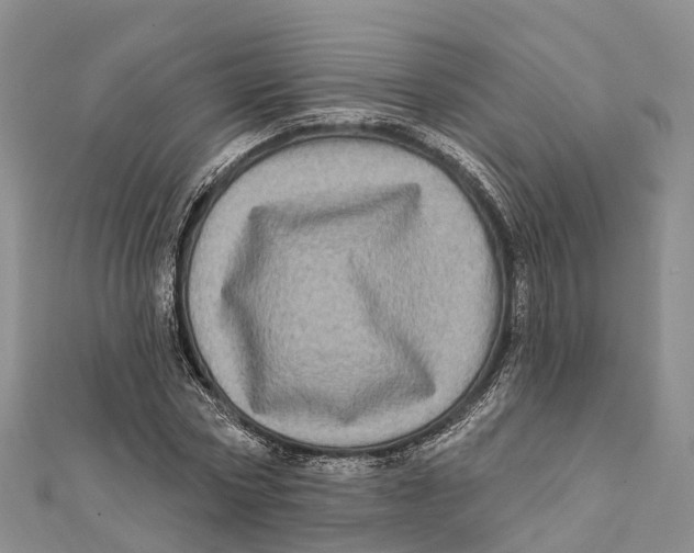 X0000112100778200909011124