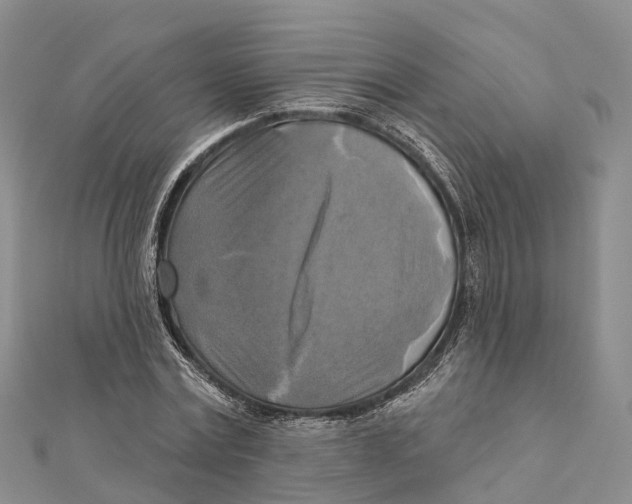 X0000112100779200909011123