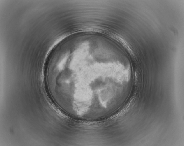 X0000112100780200909011123