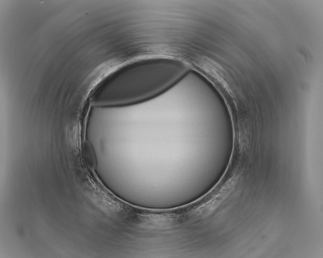 X0000112100781200909011123