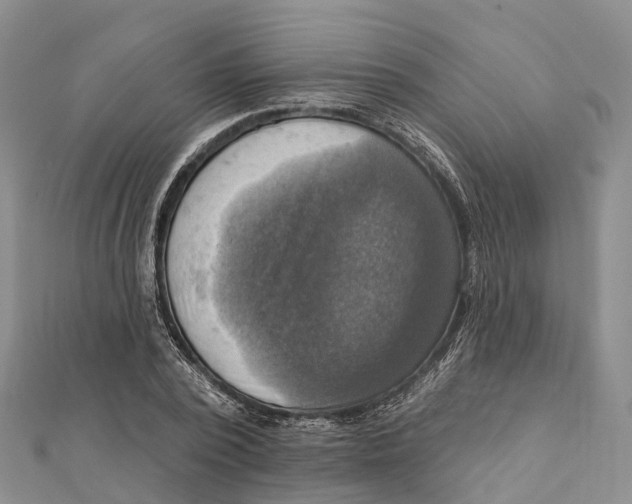 X0000112100784200909011123