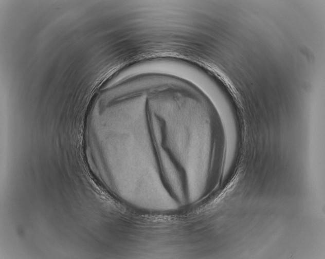 X0000112100785200909011123
