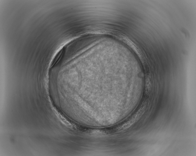 X0000112100787200909011123