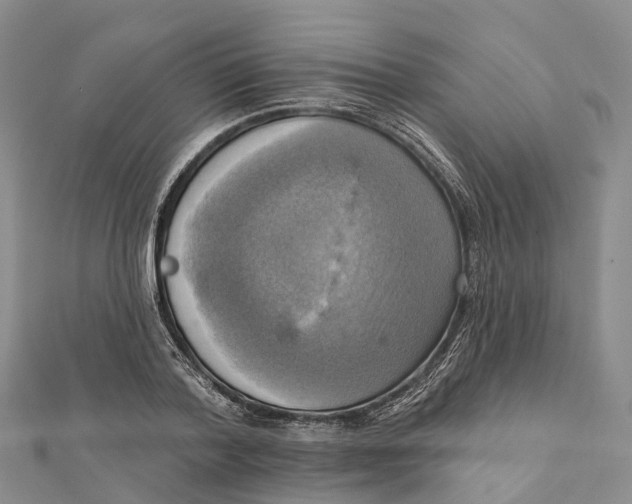 X0000112100788200909011123