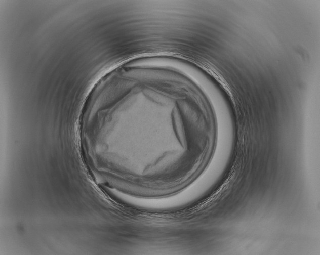 X0000112100789200909011123