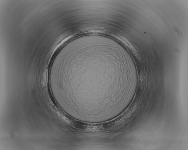 X0000112100790200909011123
