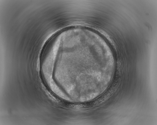 X0000112100791200909011123