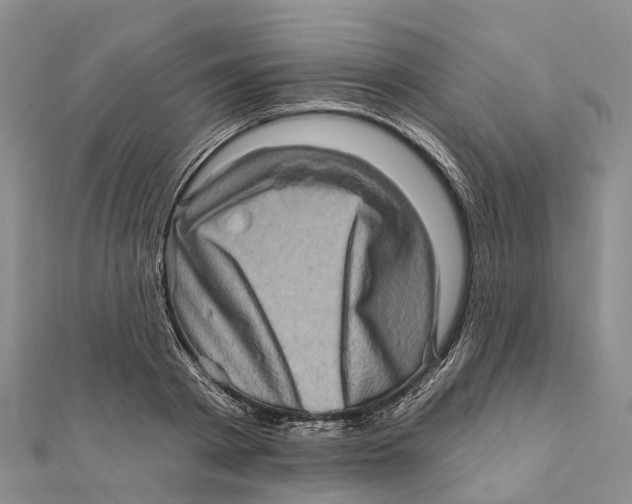 X0000112100793200909011123