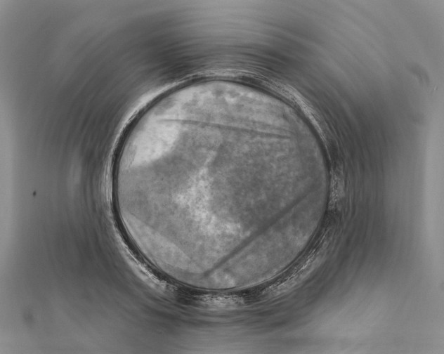 X0000112100795200909011123