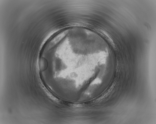 X0000112100796200909011123