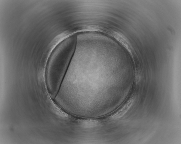 X0000112100797200909011123