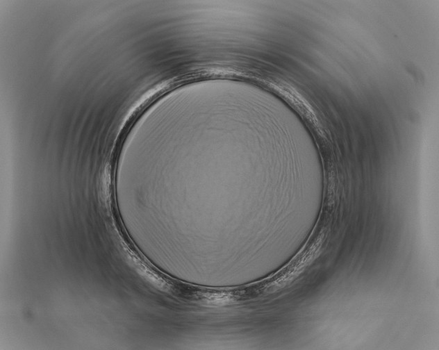 X0000112100798200909011123