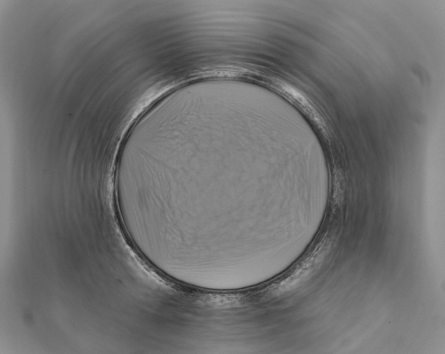 X0000112100802200909011123