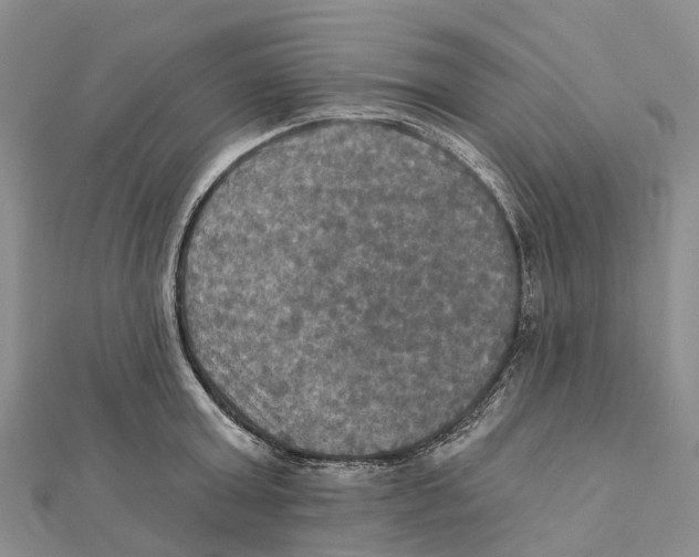 X0000112100803200909011123