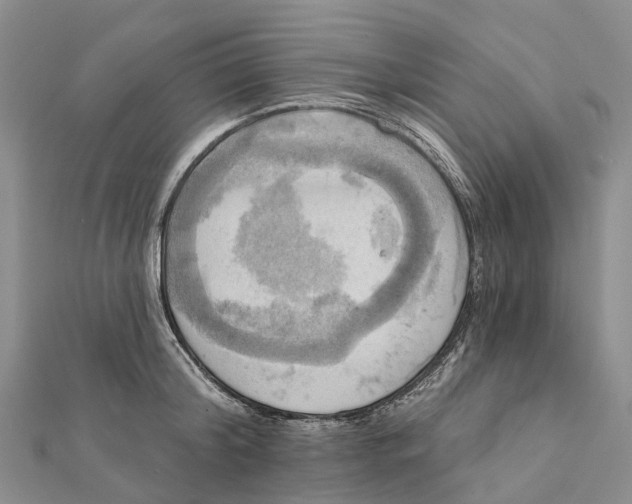 X0000112100804200909011123