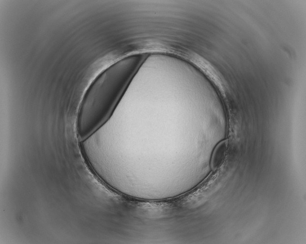 X0000112100805200909011123