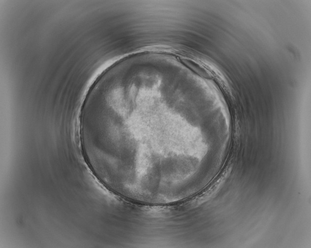 X0000112100808200909011123