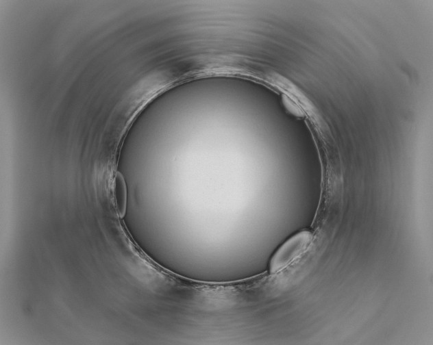 X0000112100809200909011123