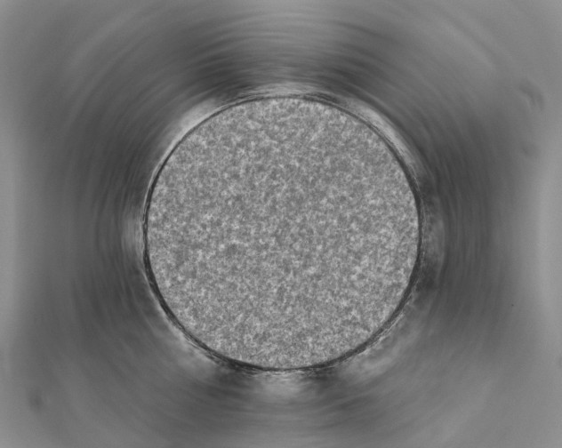 X0000112100810200909011123
