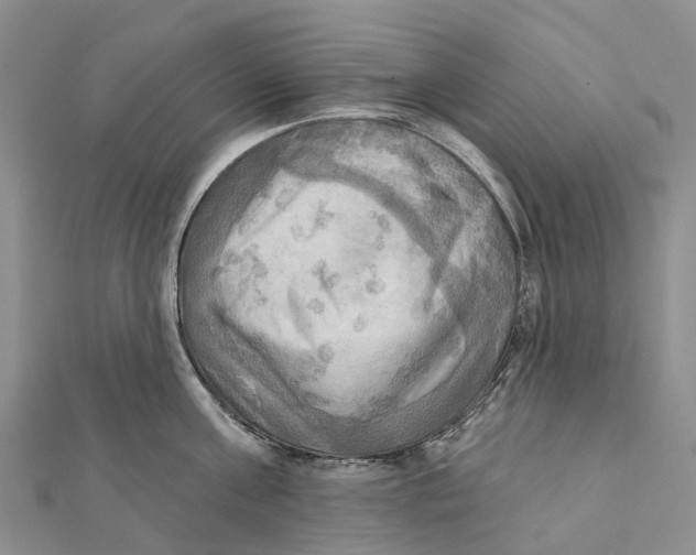 X0000112100811200909011123