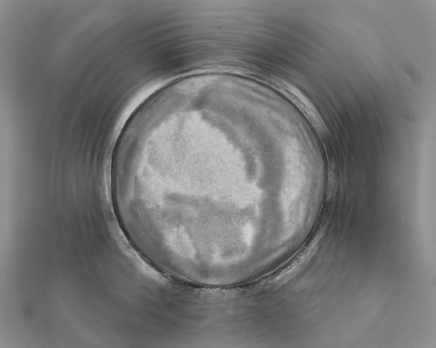 X0000112100812200909011123