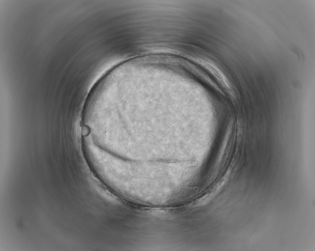 X0000112100814200909011123