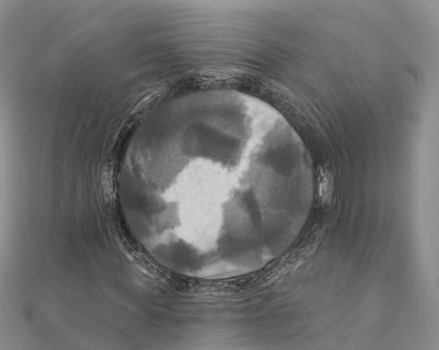 X0000112100819200909011122