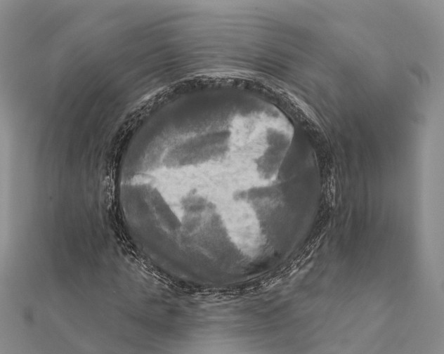 X0000112100821200909011122