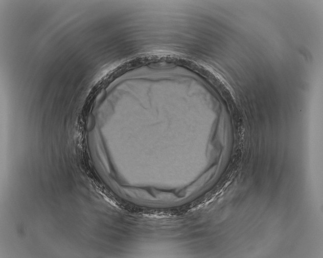 X0000112100823200909011122