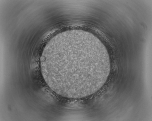 X0000112100824200909011123