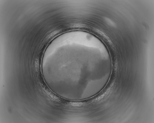 X0000112100825200909011123